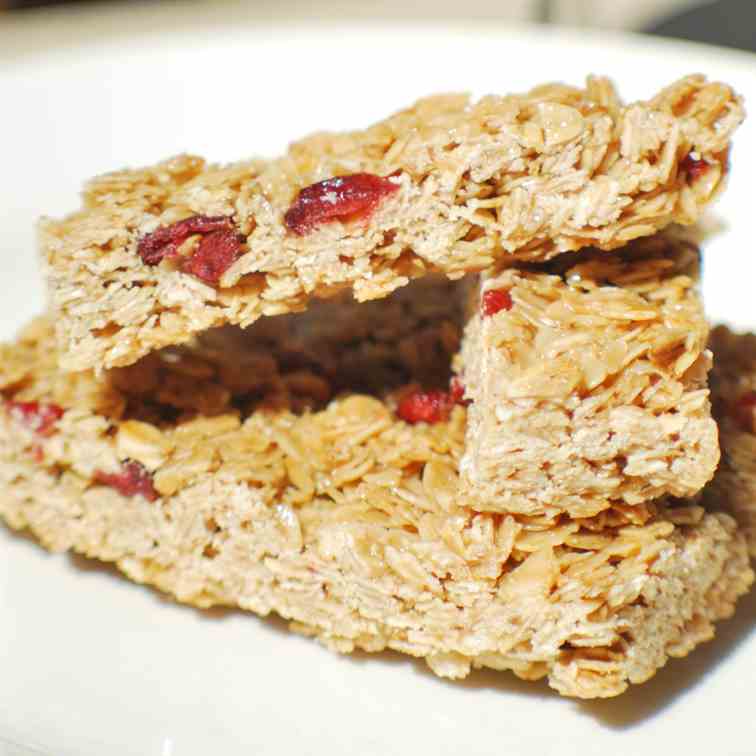 cranberry oat breakfast bars