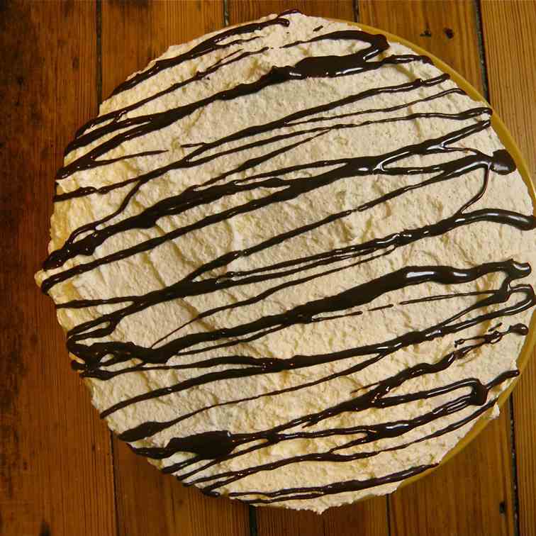 Mint Mocha Ice Cream Cake