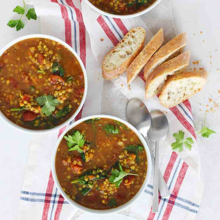 Wholesome Spiced Lentil Tomato Soup