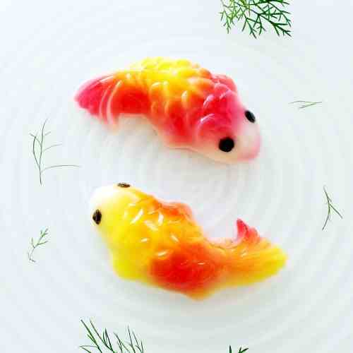 Koi Fish Jelly