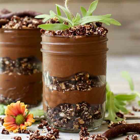 Chia Pudding Dirt Cups