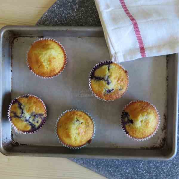 lemon blueberry corn muffins