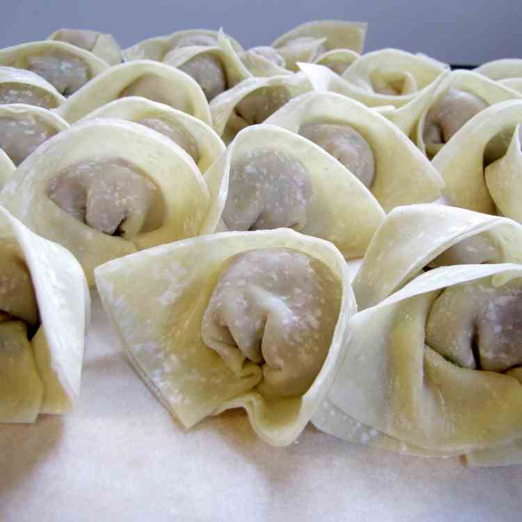 Wontons - Are you going to Fry those?