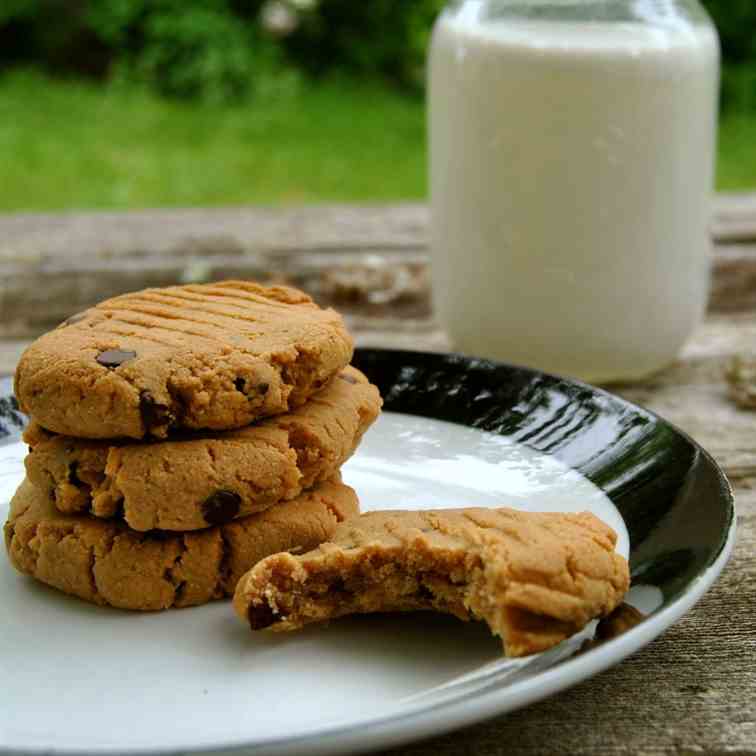 Paleo Peanut Butter Cookies