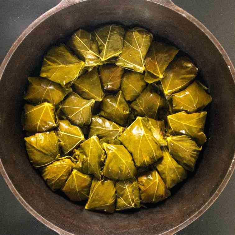 Grape Leaves with Rice and Meat