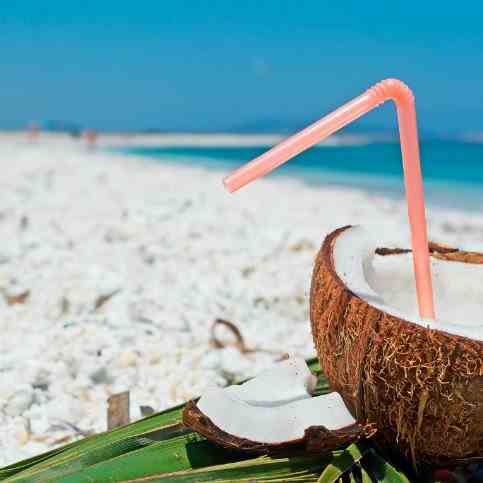 Coconut Rum- Spring and Summer Fresh Drink