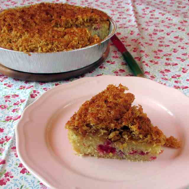 Raspberry Cake with Coconut-Caramel Toppin