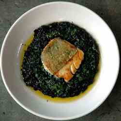 Bacalao on Black Risotto