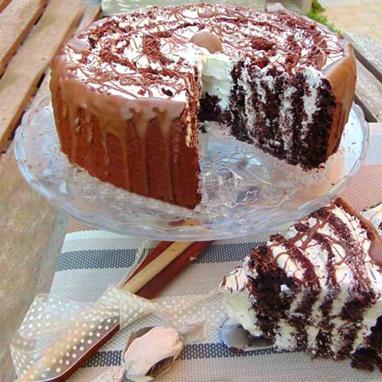 spiral chocolate cake