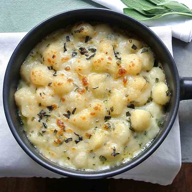 Baked gnocchi in sage cheese sauce