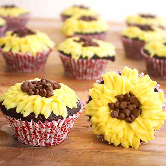 Chocolate Sunflower Cupcakes