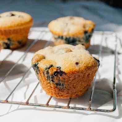 blueberry muffins (15)