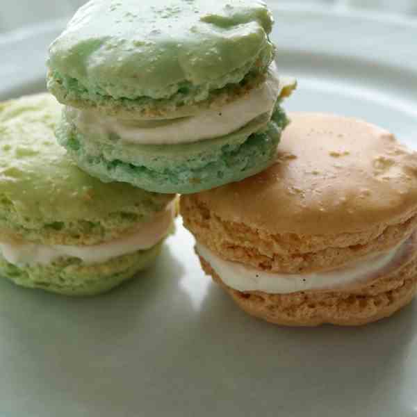 rustic french macarons