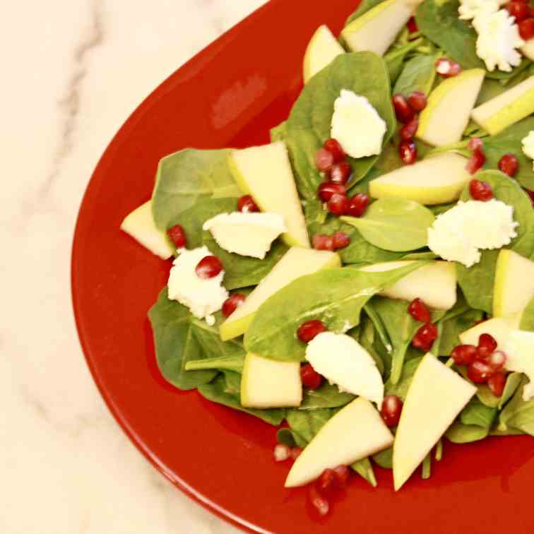 Pomegranate - Goat Cheese Spinach Salad 