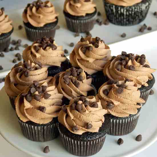 Chocolate Mousse Cupcakes 