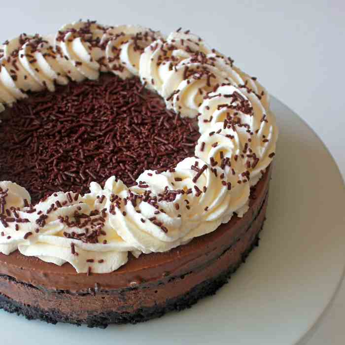 Double chocolate ice cream cake