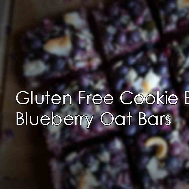 Gluten Free Cookie Bars Recipe- Blueberry 