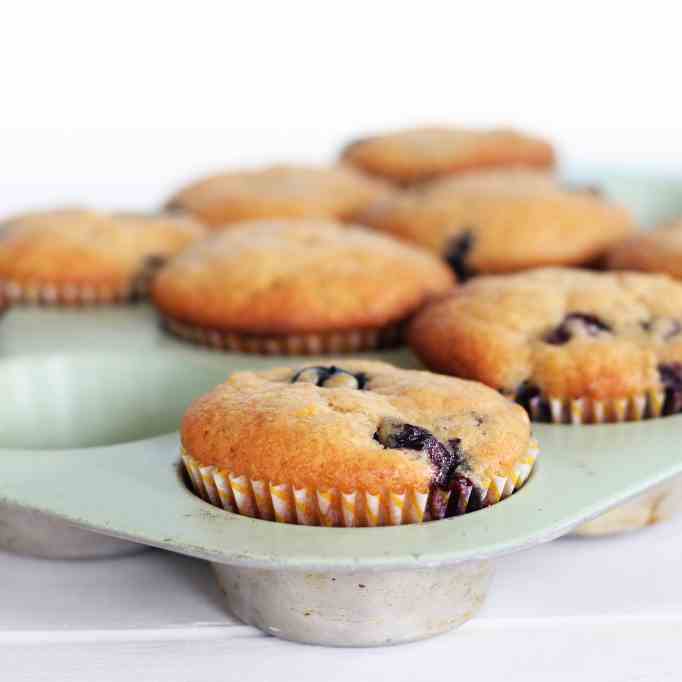Blueberry Muffins (13)