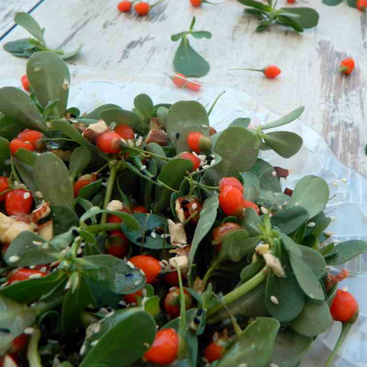 Purslane fresh goji berry salad