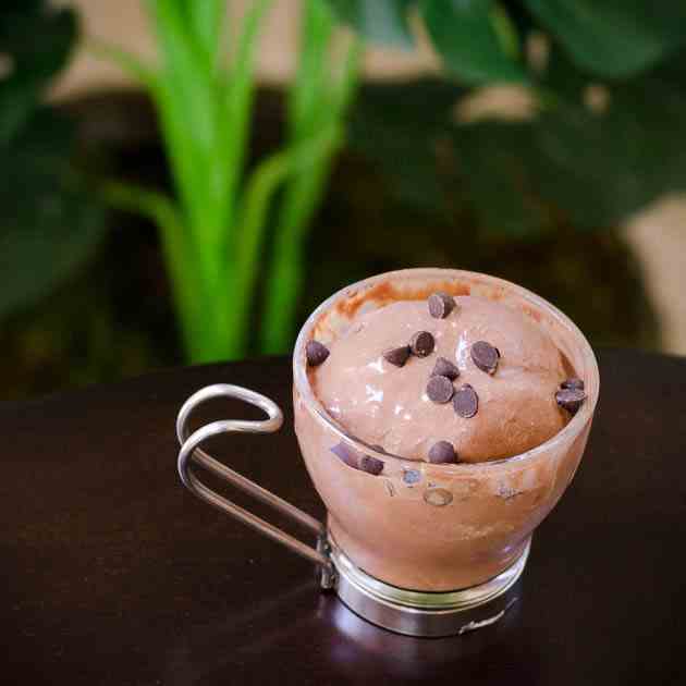 Dairy Free Chocolate Ice Cream (Paleo)