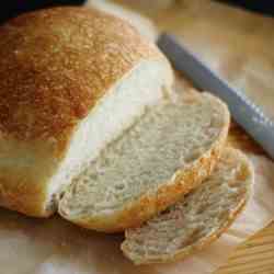 No Need to Knead Bread