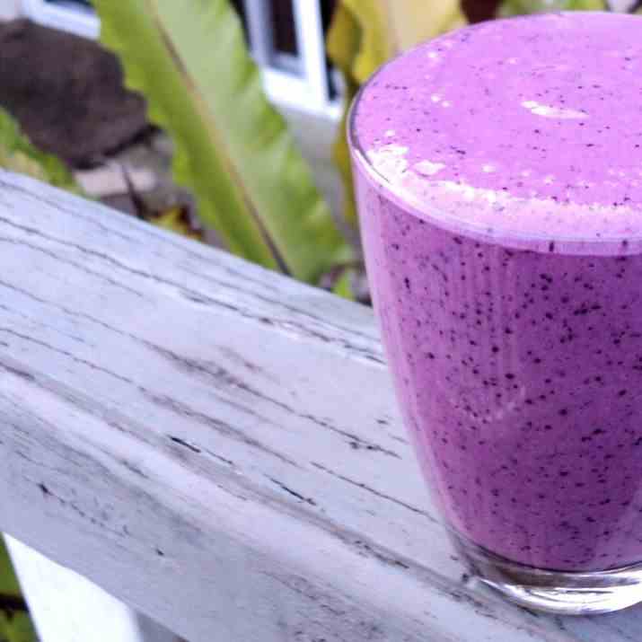 Blueberry Milkshake Recipe