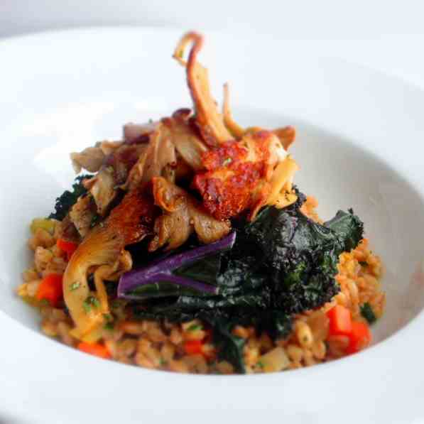 Farro risotto with oyster mushrooms
