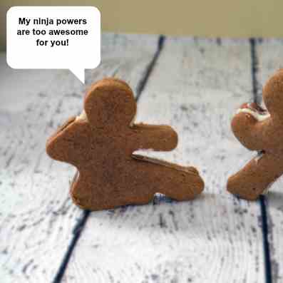 Ninja Gingerbread Men Cookies that Kick As