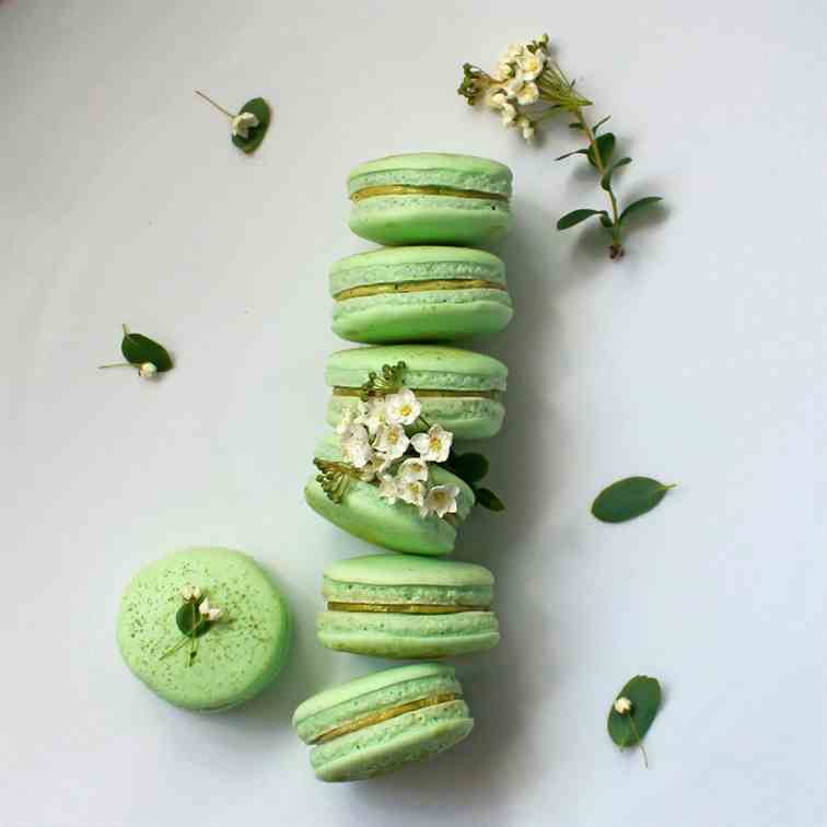 Matcha green tea macarons