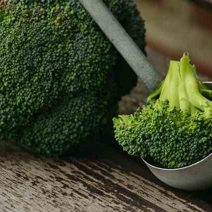 Broccoli A Disease Fighting Resource
