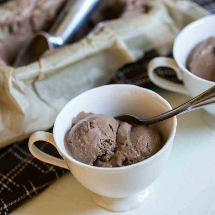 Dairy Free Chocolate Ice Cream