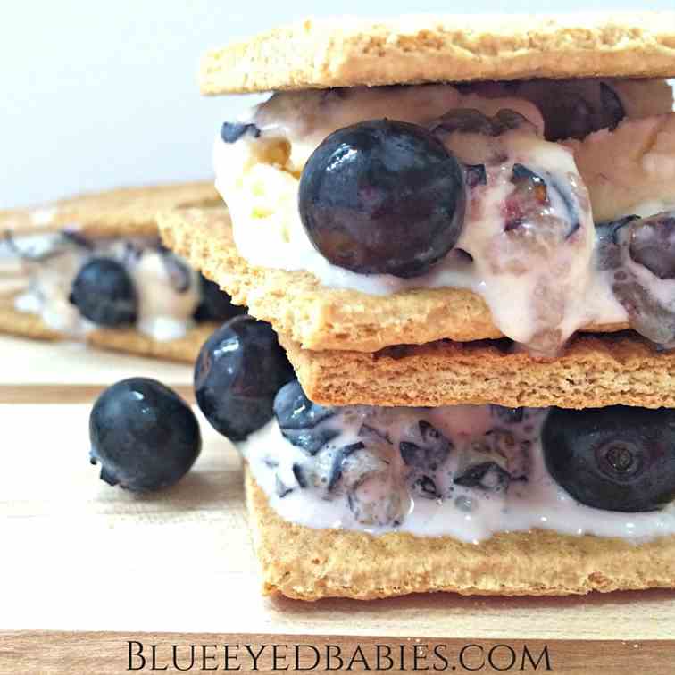 Blueberry Swirl Ice Cream Sandwiches