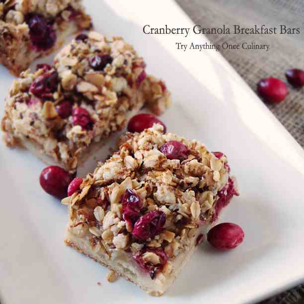Cranberry Granola Breakfast bars