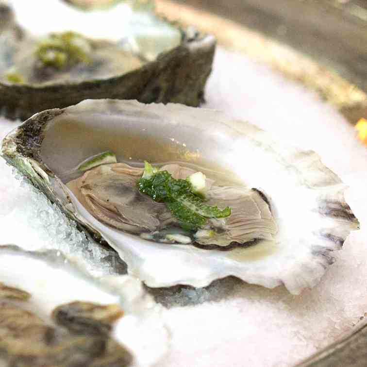Oysters with Gin and Lime Mignonette