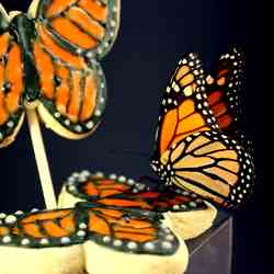 Monarch Butterfly Cookies