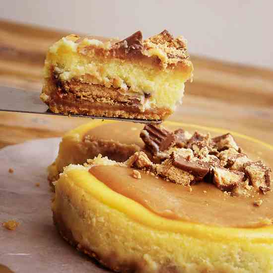 Reese Peanut Butter Cheesecake