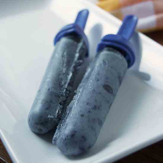 Dairy Free Blueberry Lemon Popsicles