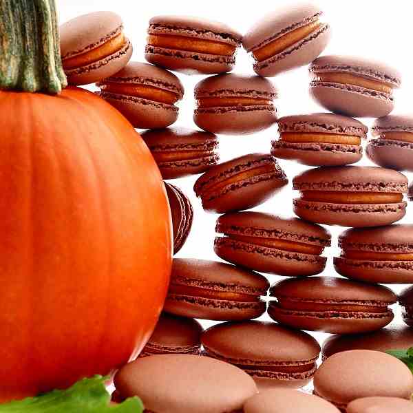 Pumpkin Pie Chocolate Macarons