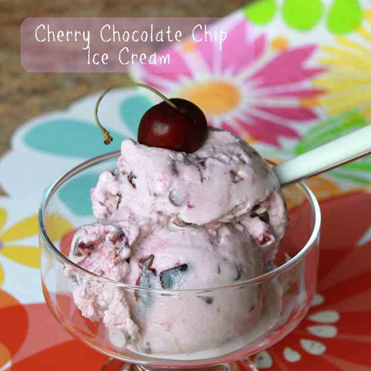 Fresh Cherry Chocolate Chip Ice Cream