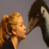 The Bleu Goose