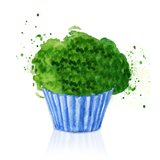 Broccoli and Muffins