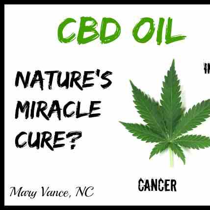 cbd oil near me