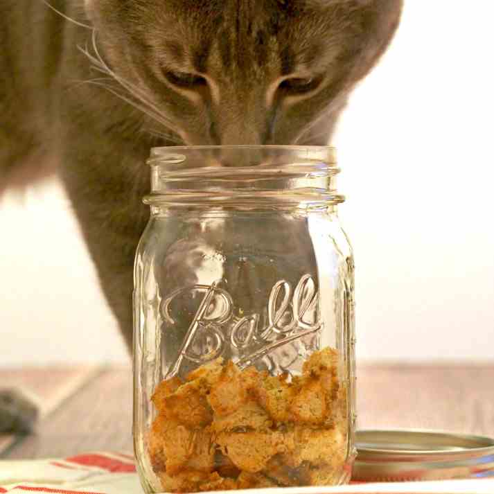 Homemade Salmon Catnip Cat Treats