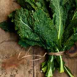 Kale Powder | Your Daily Dose of Green