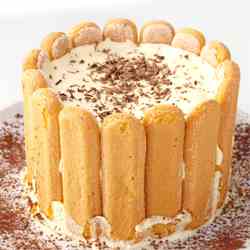 Tiramisu cake