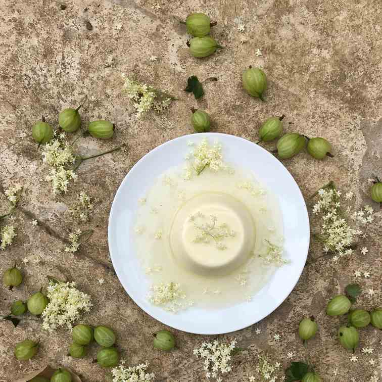 Elderflower Pannacotta