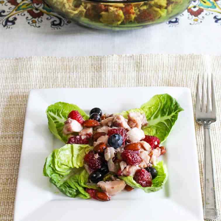 Raspberry and Blueberry Chicken Salad