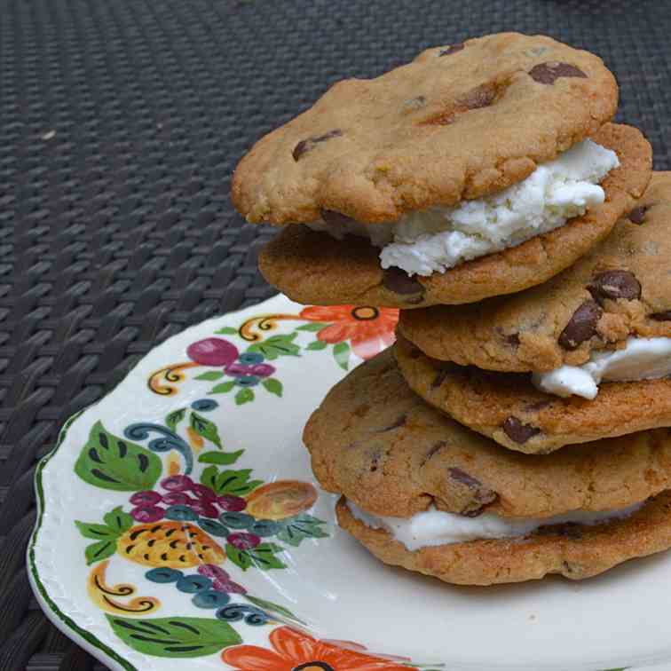 Homemade Ice Cream Sandwiches!