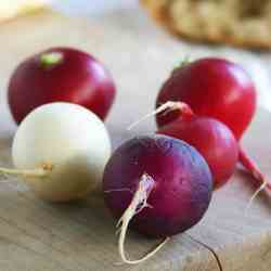 Easter Egg Radishes