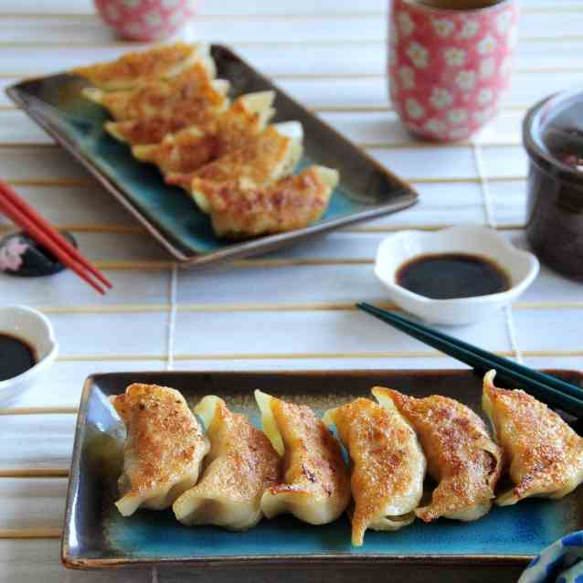 Chicken Pot Stickers--雞肉鍋貼/餃子